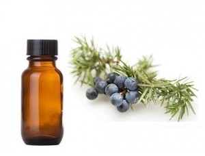 Vente en gros de marque privée d'huile essentielle de baies de genévrier, d'huile essentielle de qualité supérieure pour diffuseur de massage - Product Image 4