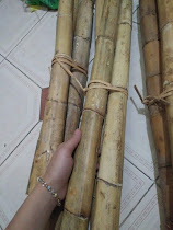 Materia Prima de Ratán/ Ratán con Cáscara/ PRODUCTO RATÁN - Product Image 2