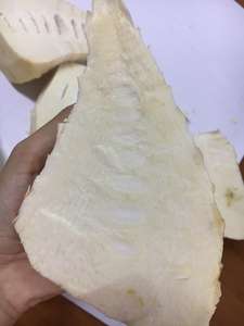 Brotes de bambú fresco en lata 3kg - Product Image 5