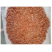Noccioli di arachidi di buona qualità India noccioli di frutta di prima qualità arachidi nutrienti cibo sfuso pelle rossa arachidi