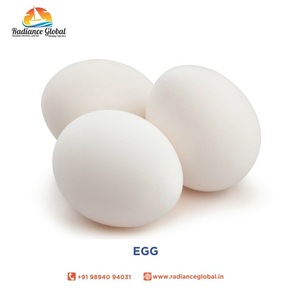 ไข่ไก่สด เกรด A ขนาดใหญ่ สีขาว ออร์แกนิค ผลิตภัณฑ์ไข่ไก่จากฟาร์ม - Product Image 3