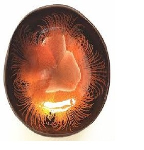 Bol de noix de coco - Product Image 3