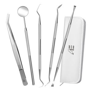 Kit de Higiene Dental de Acero Inoxidable Más Vendido 2026: Raspador Manual para Limpieza de Placa y Equipo de Relleno Dental - Product Image 1