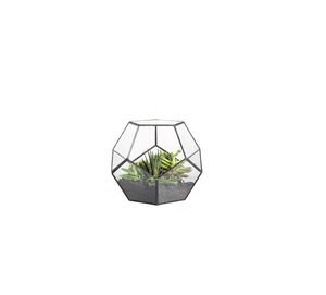 Metal and Glass Hanging Decorative Indoor Plant Terrarium Manufacturer Wholesale factory direct sale - Product Image 1