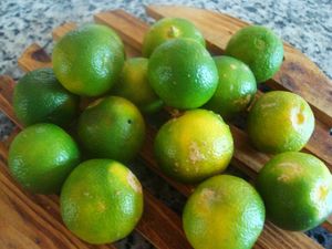 POLVO CALAMANSI-POLVO KUMQUAT - Product Image 6