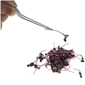 Pinces de précision en acier inoxydable de qualité industrielle et bricolage Pince à épiler culinaire avec pointe fine dentelée Finition résistante à la corrosion - Product Image 1