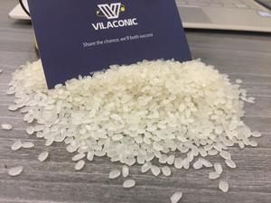 RIZ CALROSE EN VRAC/RIZ À GRAIN COURT 5% RIZ CASSÉ/ROND DE HAUTE QUALITÉ-ANNA DO W/A + 84982153058 - Product Image 4