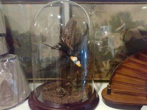 <b>Glass</b> <b>Dome</b> with Base Made Form Good Quality <b>Glass</b> For <b>Cake</b> Serving Decor In Bulk For Export - Product Image 6