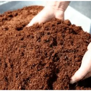 Поставщик COCOPEAT BLOCKS 5 кг/BULK COCOPEAT-Лучшая цена/Ms: Праздничный whatsapp: + 84-845-639-639