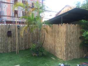 Vietnam <b>Bamboo</b> <b>Fencing</b> - Privacy Fence Panel <b>Rolls</b> - Product Image 6