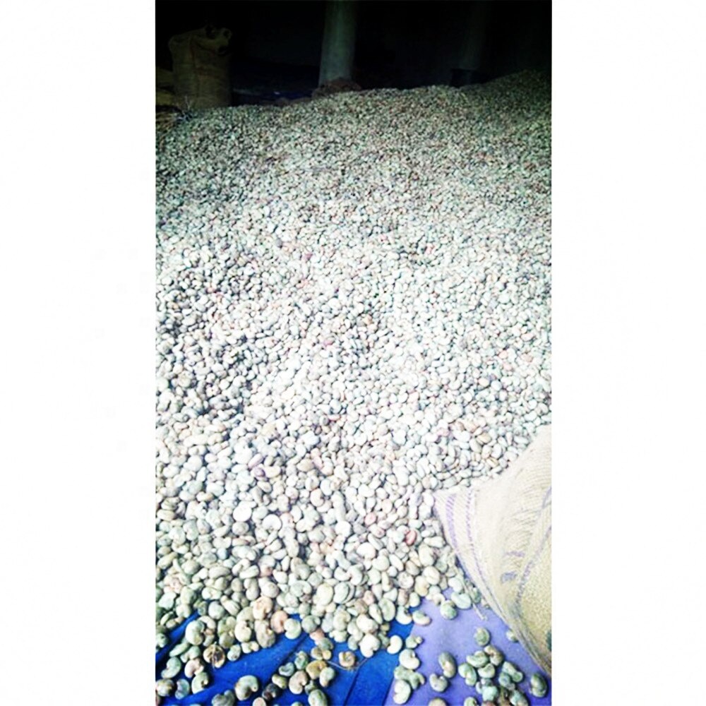 2019 Самый дешевый покупатель, орехи кешью, сырые семена кешью, сырые орехи кешью, Индонезия