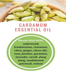 Huile Essentielle Pure de Cardamome et d'Arbre à Thé en Gros – Meilleures Ventes pour Parfums, Bougies et Fabrication de Savons - Product Image 2