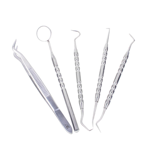 Juego de 5 Kits de Higiene Dental al por Mayor, de Acero Inoxidable Plateado, Reutilizables, para Limpieza Dental y Relleno de Dientes - Product Image 2