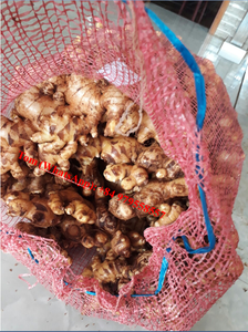 JENGIBRE FRESCO DE ALTA CALIDAD CON EL MEJOR PRECIO DE ÁNGULO DE VIETNAM - Product Image 2