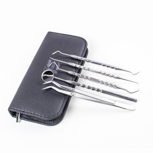 Juego de 5 Kits de Higiene Dental al por Mayor, de Acero Inoxidable Plateado, Reutilizables, para Limpieza Dental y Relleno de Dientes - Product Image 1