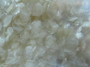 เครื่องชั่งปลาแห้งคุณภาพ/เครื่องชั่ง Oreochromis Sp - Product Image 5