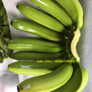 กล้วยสดใหม่ ผลผลิตใหม่ ขายส่ง กล้วยหอม กล้วยคาเวนดิช จากเวียดนาม - Product Image 2