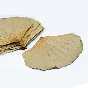 ดอกบัวสดผงบัวมาตรฐานสูงเวียดนาม - Product Image 3