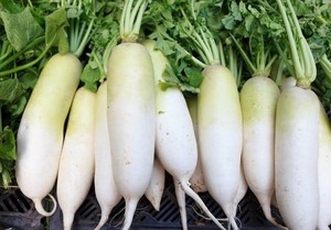 RADÍS BLANCO SALADO EN SAL DE VIETNAM - Product Image 5