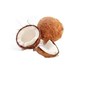 Mature Coconut/Fresh Tender Coconut Semi Husked Coconut (WS: 0084987731263)