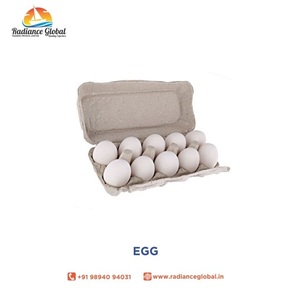 chicken broiler eggs for sale - Product Image 4