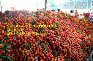 LYCHEE FRESCO A PRECIO BARATO DE VIETNAM - Product Image 3