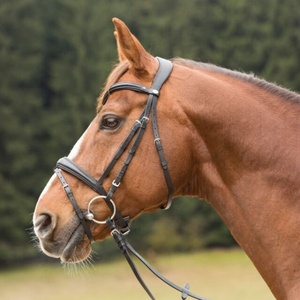 Équipement équestre en gros : Bride de cheval, pièces et accessoires de bride de cheval portables - Product Image 4