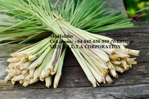 ตะไคร้แช่แข็งจากเวียดนาม/WHATSAPP: + 84-845-639-639 - Product Image 5