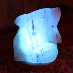 Lampe à sel créative avec Base en bois et cordon, fabriqué avec le sel himayen en en forme de dauphin, décoration - Product Image 2