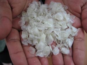 ตาชั่งปลาแบบแห้ง/เครื่องชั่งปลานิลแห้ง,ราคาถูกที่สุด (WHATSAPP 84 845 639 639) - Product Image 5