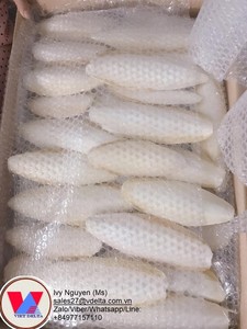PRIX DU MARCHÉ DES LÉGUMES RADIS BLANC FRAIS - Product Image 3