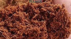 The Best Quality Agriculture Cocopeat/ Cocopeat <b>Blocks</b> From Vietnam Supplier - Ms. Holiday - Product Image 6