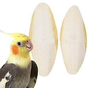 HUESO DE SEPPIA DE VIETNAM / HUESO DE CUTTLEBONE / HUESO DE CALAMAR PARA EL MERCADO DE LA UE (WS: 0084987731263) - Product Image 1