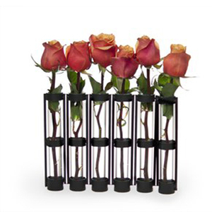 Vase à tubes de Test en verre et en fer, porte-6 bourgeons - Product Image 1