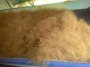 HIGH QUALITY COCONUT <b>FIBER</b>/ COIR ROPE/ COIR MAT (WS: 0084987731263) - Product Image 5