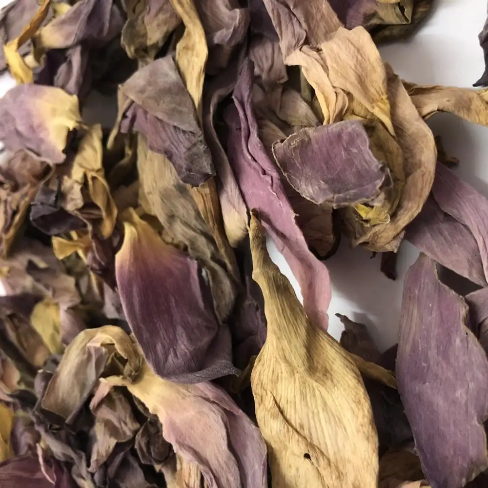 Dried lotus flower nelumbo nucifera/lotus petals (whatsapp +84 845 639 639)