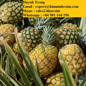 Vietnamese <b>Fresh</b> <b>Pineapples</b> Crisp and Juicy <b>Pineapple</b> Sourced Direct From Vietnam - Product Image 3