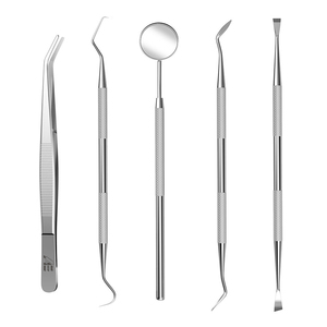 Kit de Higiene Dental de Acero Inoxidable Más Vendido 2026: Raspador Manual para Limpieza de Placa y Equipo de Relleno Dental - Product Image 2