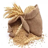 Soft Wheat Grain, Durum Wheat, Milling Wheat