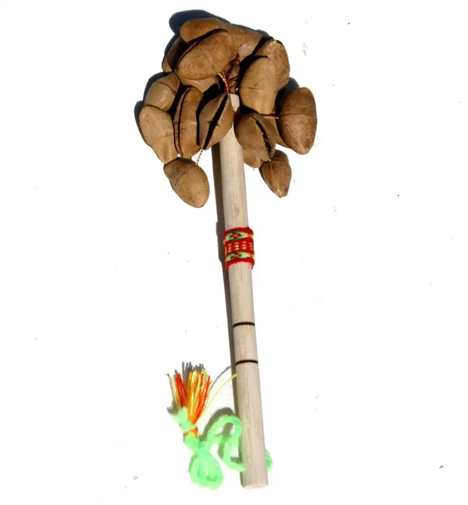 Instrumentos musicales de percusión de semillas arte Natural y manualidades música de Maracas danza de la cultura sudamericana en el Perú