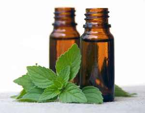 <b>100</b>% Pure Spearmint Essential Oil Liquid Appearance Quantity for Aromatherapy and Massage Natural Product - Product Image 4