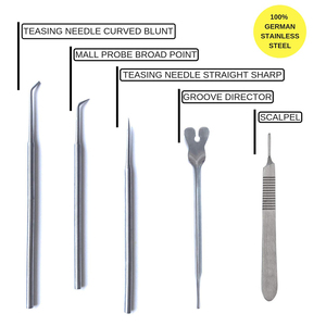 Juego de Laboratorio Avanzado ODM OEM, Herramientas Manuales de Acero Inoxidable de Primera Calidad, Pinzas de Biología para Disección de Ranas - Product Image 4