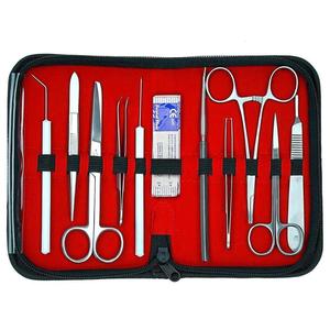 Kit de personnalisation avec Logo pour étudiants médicaux, étiquettes intimes personnalisées de haute qualité à bas prix, vente en gros - Product Image 1