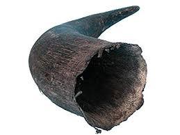 แตรรูควายพร้อมขาตั้งทองเหลืองสีธรรมชาติตกแต่ง สํานักงานแตรโชว์ชิ้น และของขวัญที่ดีที่สุดใช้แตรควาย - Product Image 6