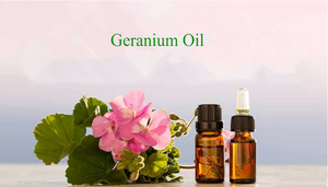 Aceite Esencial de Geranio Puro Certificado GMP, Pelargonium Graveolens, Destilación por Vapor, Botellas de 30ml y 100ml, Origen Floral, Precio Bajo - Product Image 5