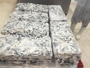 Peau de poisson-chat congelée / Peau de poisson basa congelée du Vietnam - Product Image 3