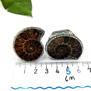 Bague classique en pierre fossile naturelle, coquille de conque d'ammonite véritable brillante, pour femmes et hommes, taille ajustable, bijoux en <span class=keywords><strong>strass</strong></span> - Product Image 4