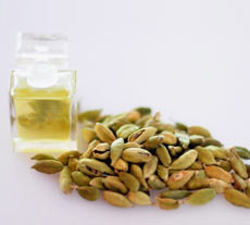 Aceite esencial orgánico de cardamomo, grado terapéutico para la salud respiratoria y digestiva del cabello de la piel, hecho de semillas puras - Product Image 4
