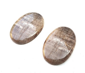 Qualité géniale 2 pièces pierres précieuses en vrac forme ovale lisse bois naturel jaspe Cabochons fabrication de bijoux DIY - Product Image 1