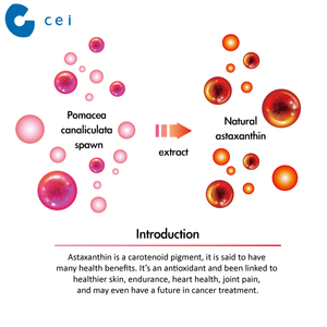 2019 Miglior Tonico del Sangue 100% Puro Astaxantina Polvere L-arginina capsule <span class=keywords><strong>Anti</strong></span> Infiammatori Protezione del Fegato - Product Image 2